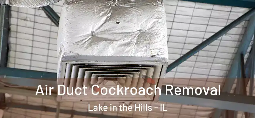  Air Duct Cockroach Removal Lake in the Hills - IL