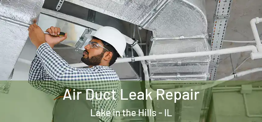  Air Duct Leak Repair Lake in the Hills - IL