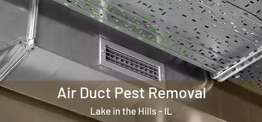  Air Duct Pest Removal Lake in the Hills - IL