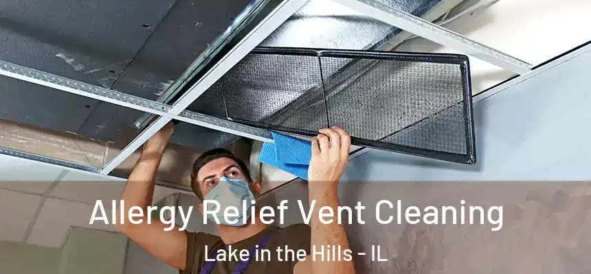  Allergy Relief Vent Cleaning Lake in the Hills - IL