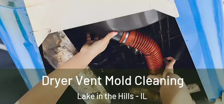  Dryer Vent Mold Cleaning Lake in the Hills - IL