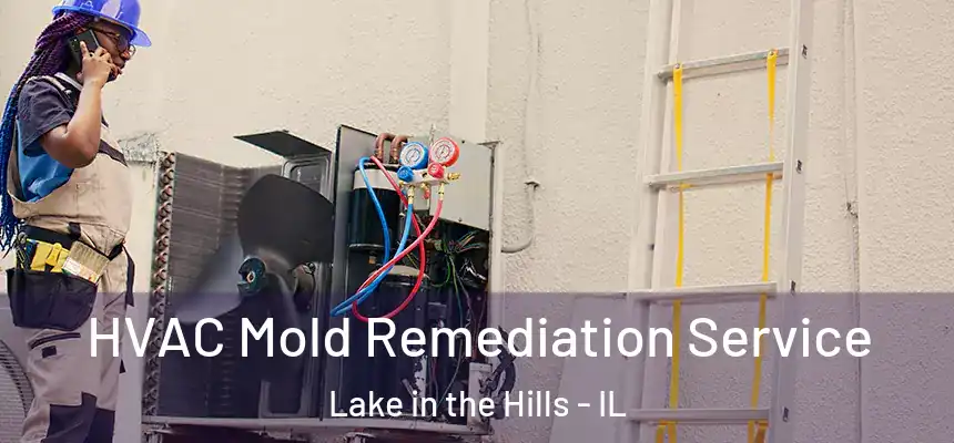  HVAC Mold Remediation Service Lake in the Hills - IL