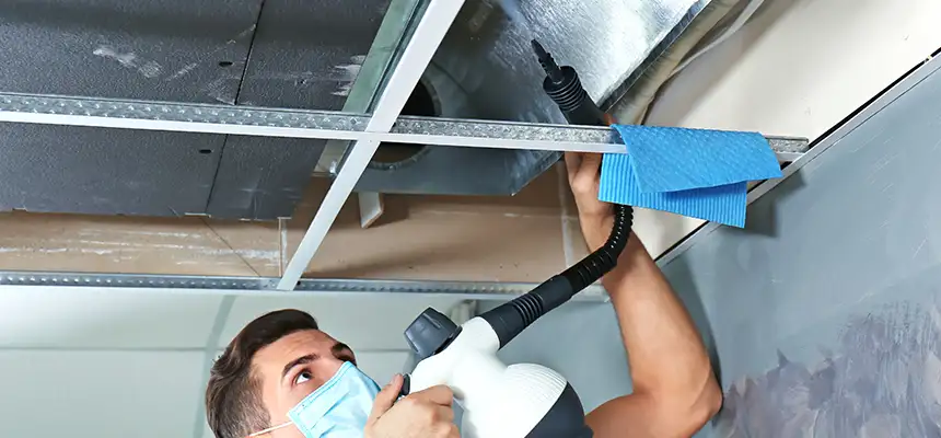 Our Air Duct Rodent Removal Services in Lake in the Hills, IL