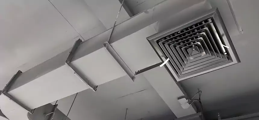 Restorative Allergy Relief Vent Cleaning – Coil, Blower & Housing Detail in Lake in the Hills