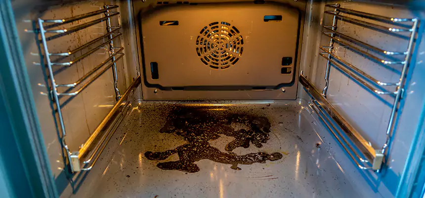 Our Dryer Vent Mold Cleaning Services in Lake in the Hills, IL