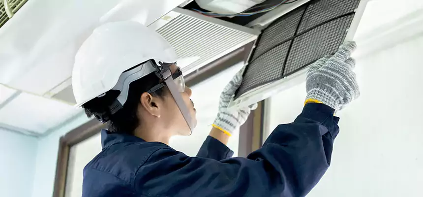 Our Mold & Mildew Removal from Air Ducts Services in Lake in the Hills, IL