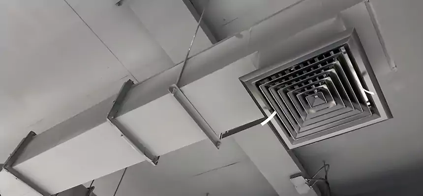 Our Rodent Droppings In Vents Services in Lake in the Hills, IL