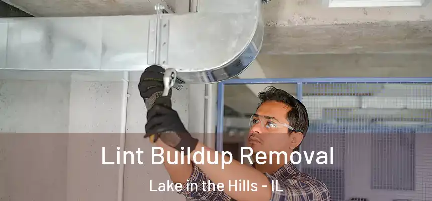  Lint Buildup Removal Lake in the Hills - IL