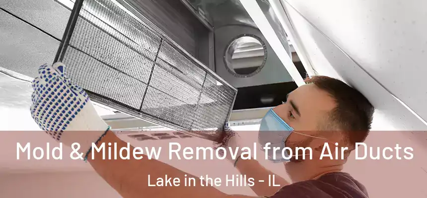  Mold & Mildew Removal from Air Ducts Lake in the Hills - IL