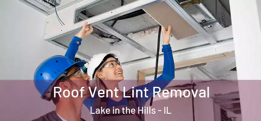  Roof Vent Lint Removal Lake in the Hills - IL