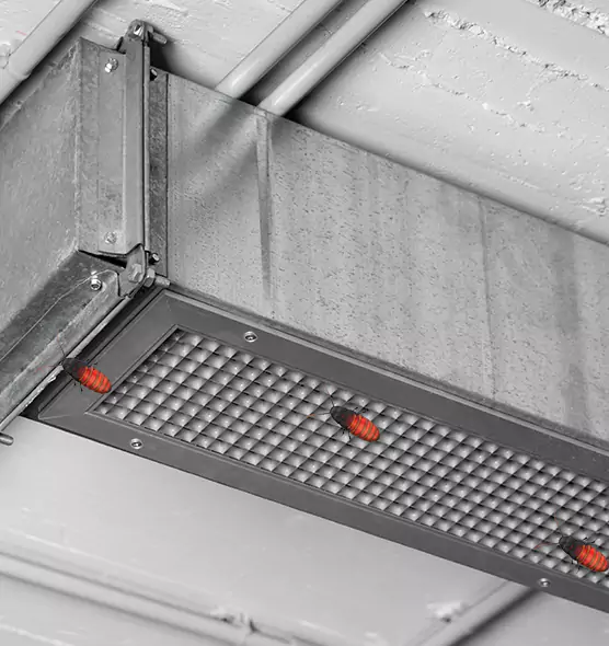 About Air Duct Cockroach Removal in Lake in the Hills, IL