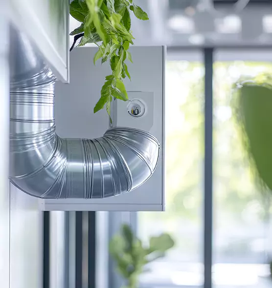 Professional Eco-Friendly Duct Cleaning Services in Lake in the Hills, IL