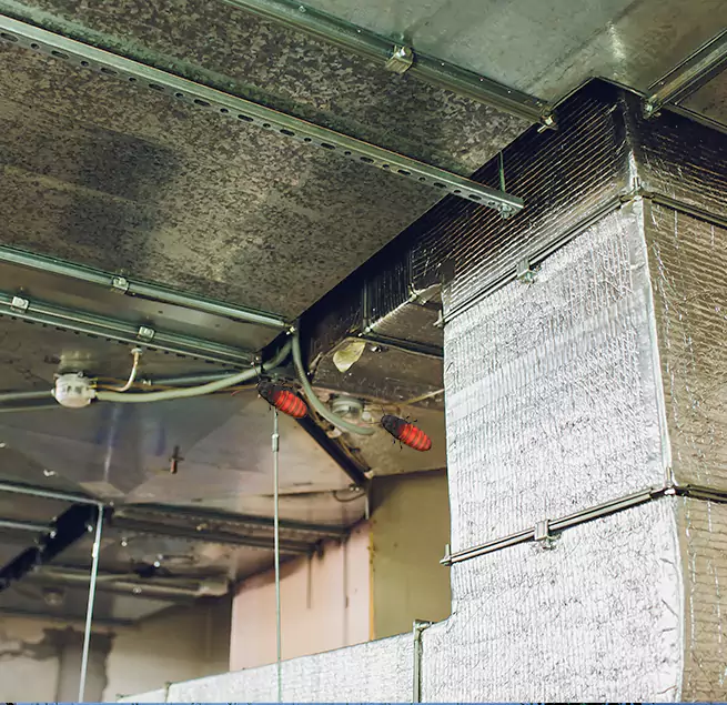 Why Homeowners & Businesses Trust Us in Lake in the Hills, IL?