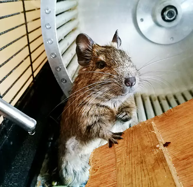 Why Homeowners & Businesses Trust Us Lake in the Hills, IL