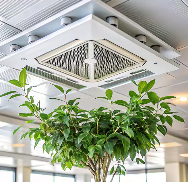 Why Homeowners & Businesses Trust Us in Lake in the Hills, IL